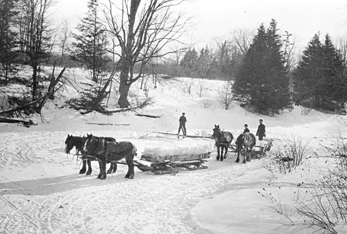 horses hauling ice